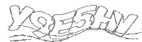Check code