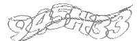 Check code